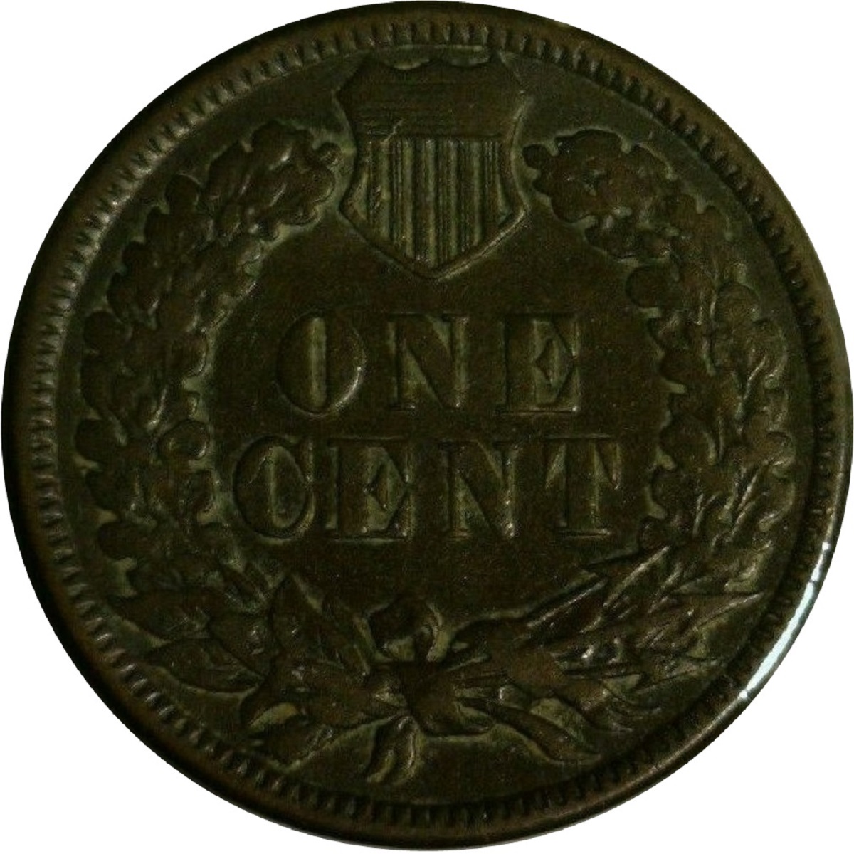 1884-Indian-Head-Cent-#2